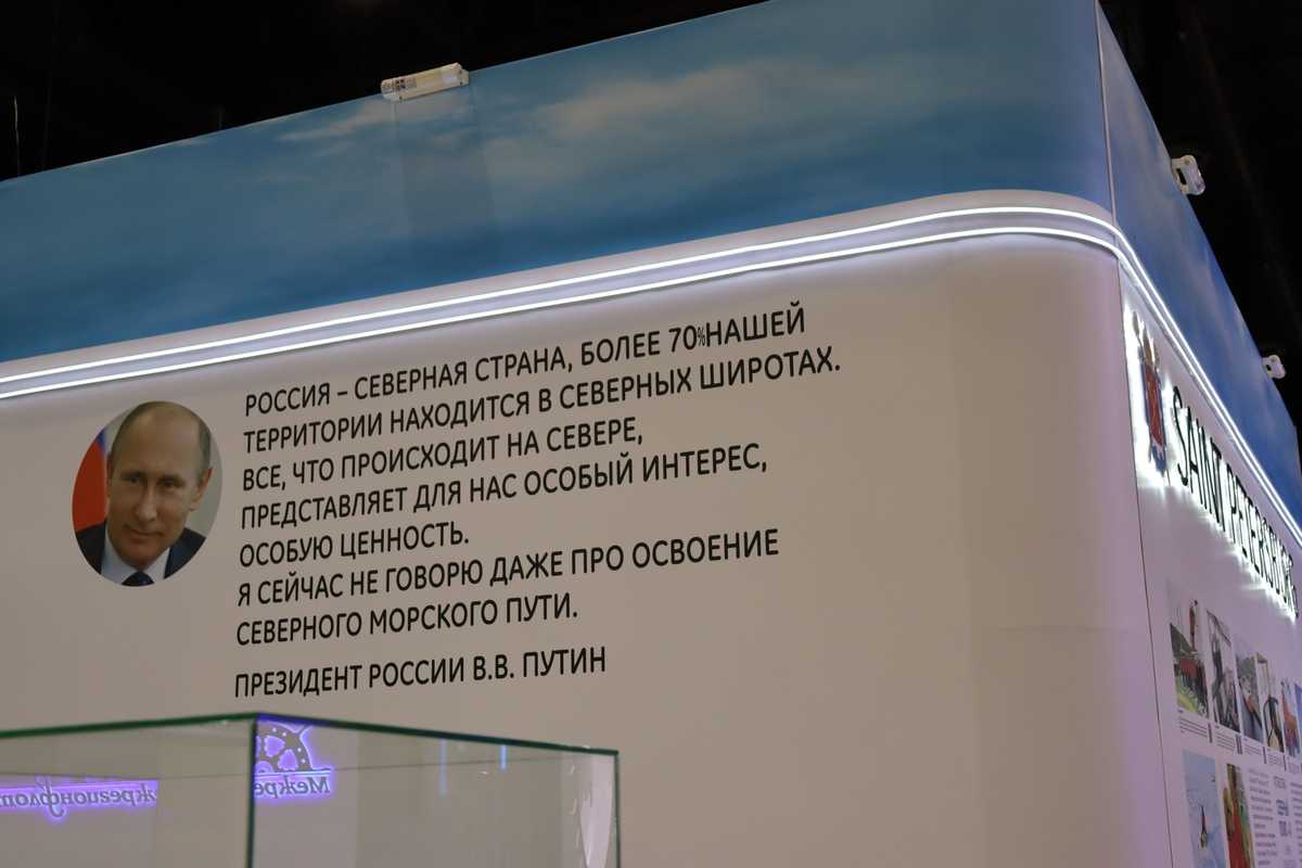 Международная выставка "Нева 2023"