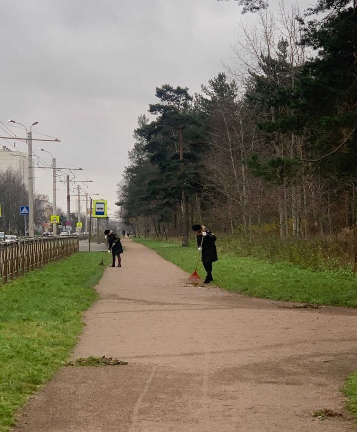 Волонтеры в деле