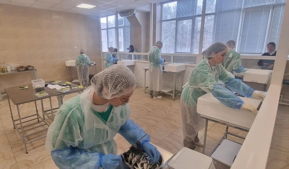 Региональный этап «Профессионалов» по обработке водных ресурсов Региональный этап «Профессионалов» по обработке водных ресурсов