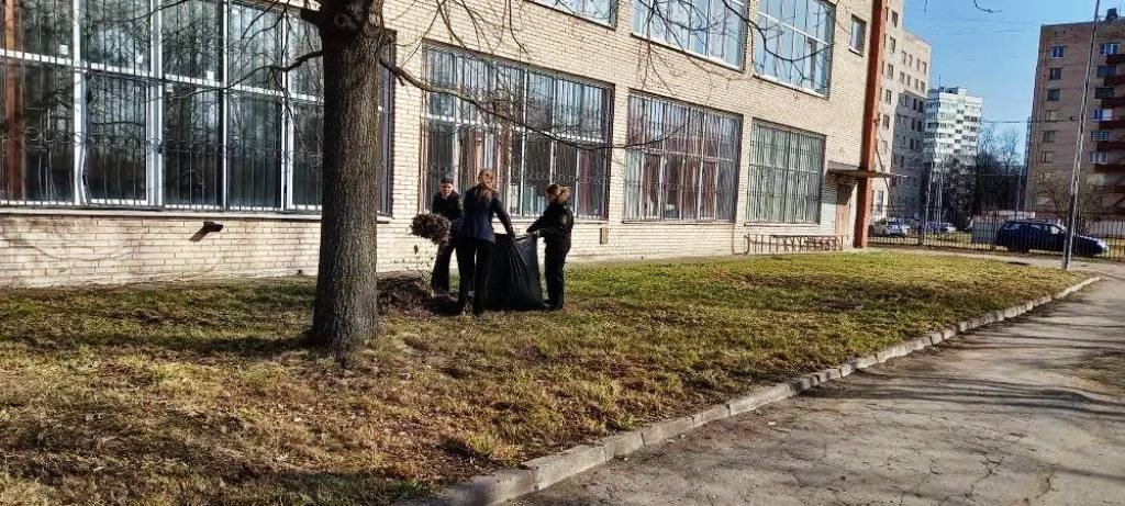 Чистота и порядок Чистота и порядок