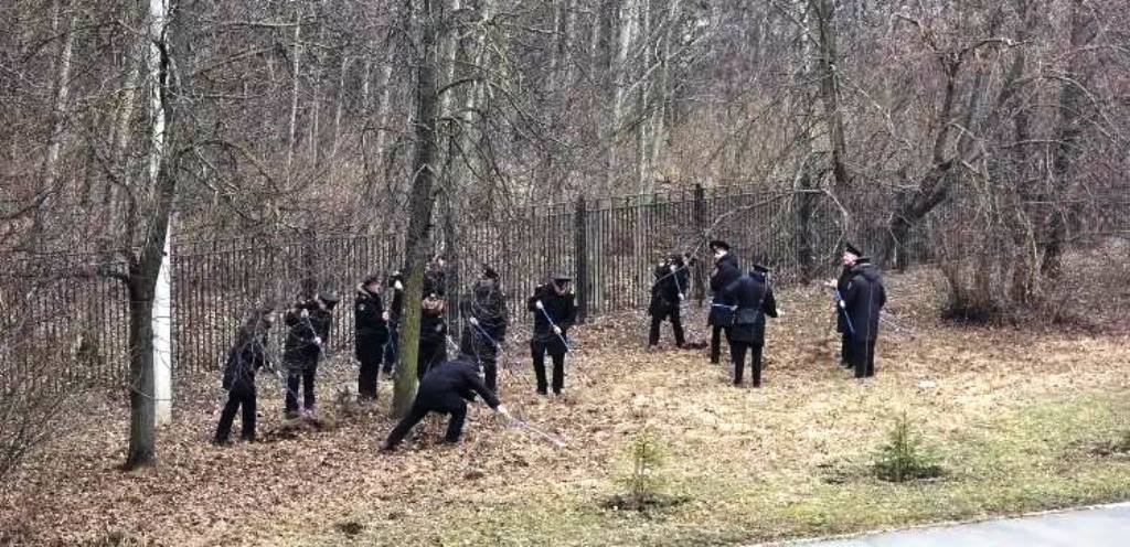 Чистота и порядок Чистота и порядок
