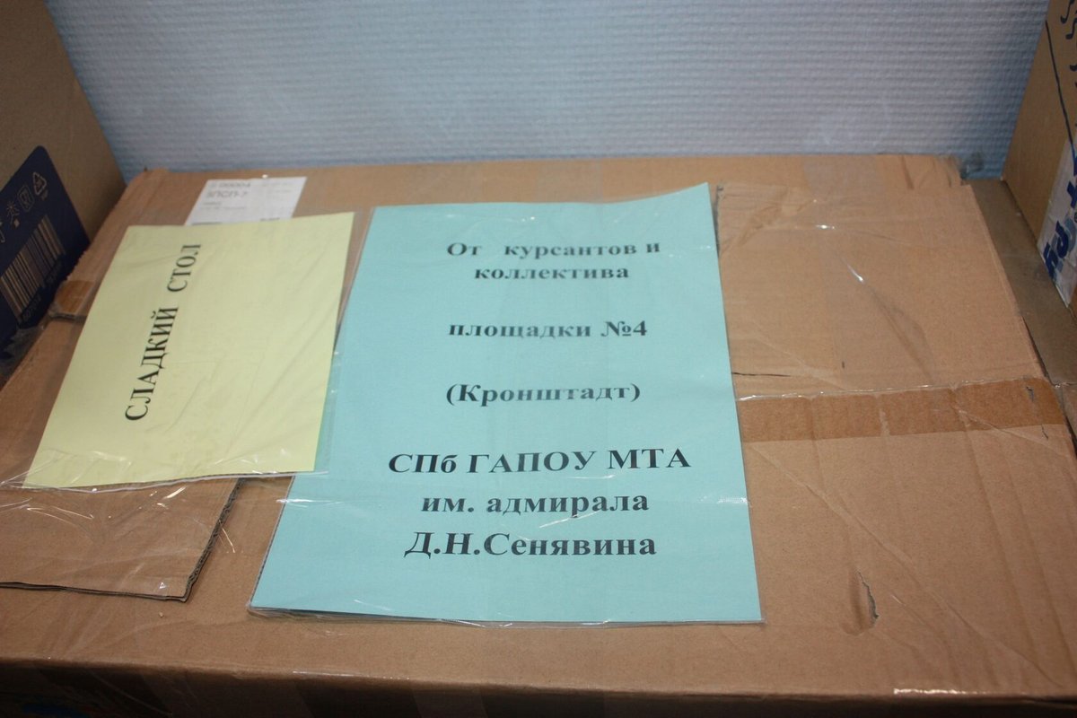 Новогодняя посылка в зону СВО Новогодняя посылка в зону СВО
