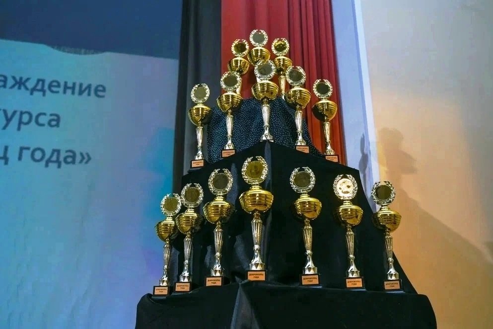 Награждение Доброволец года Награждение Доброволец года