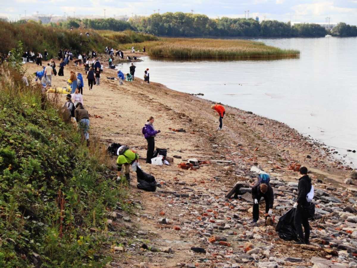 Курсанты МТА приняли участие в экологической акции «Чистый берег» Курсанты МТА приняли участие в экологической акции «Чистый берег»