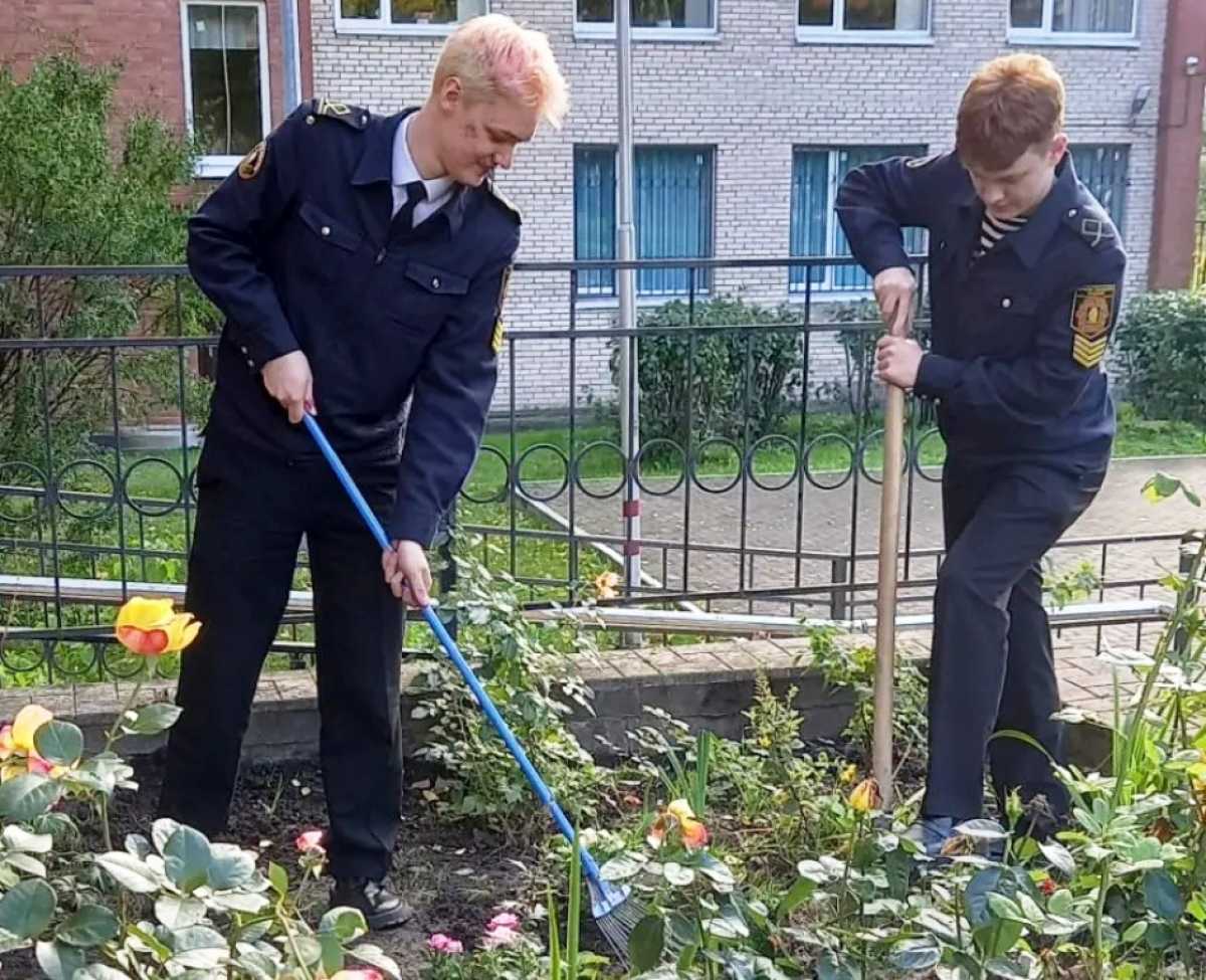 Розы преемственности