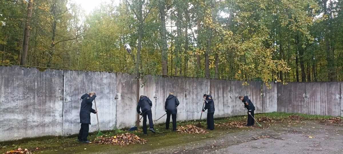 Субботник в Сосновой Поляне Субботник в Сосновой Поляне