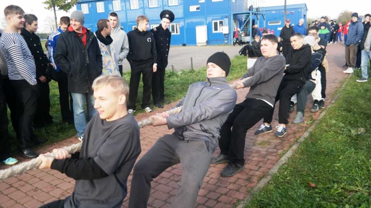 Вёсла, характер, команда