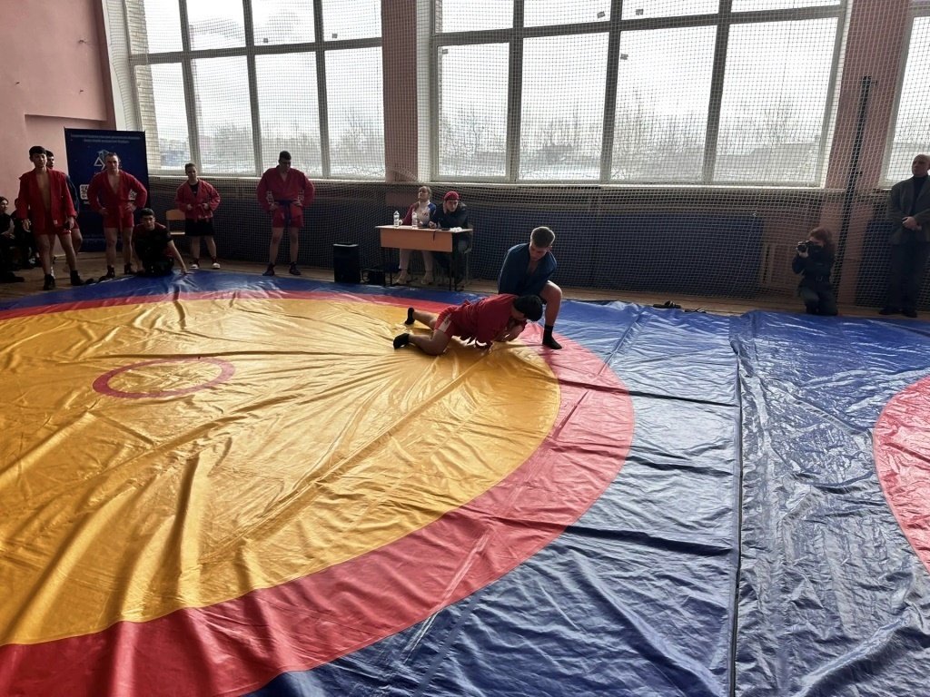 Серебро в самбо Серебро в самбо