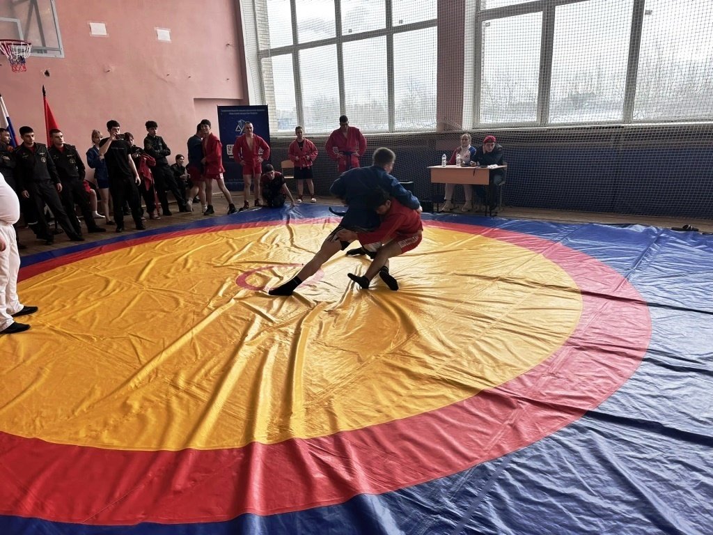 Серебро в самбо Серебро в самбо