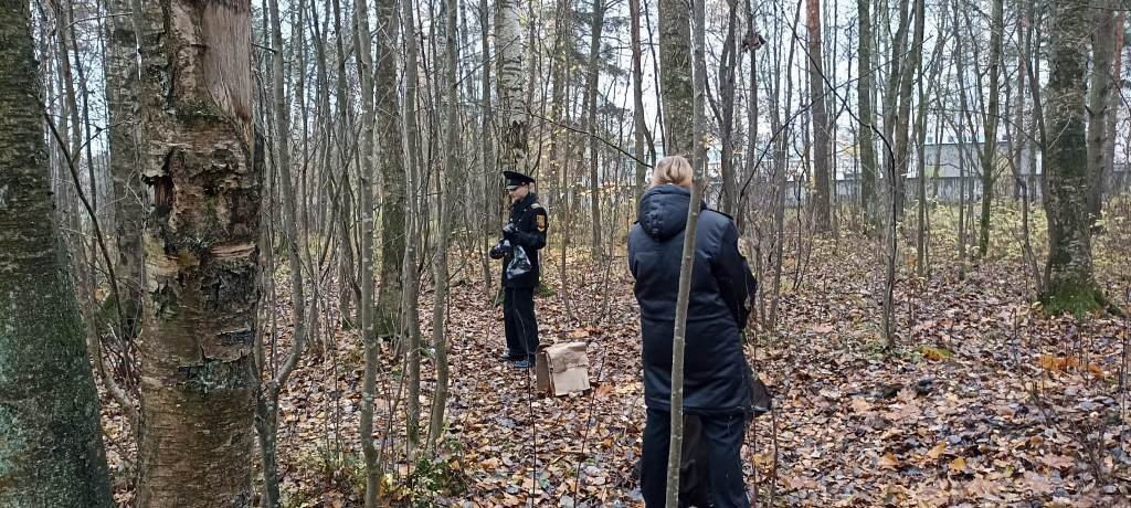 Вклад курсантов в чистоту «Сосновой поляны» Вклад курсантов в чистоту «Сосновой поляны»