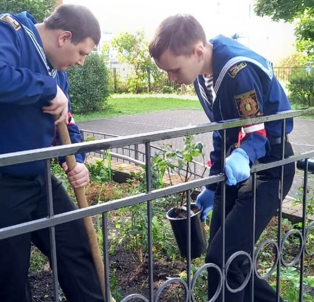 В День оружейника посадили розы В День оружейника посадили розы