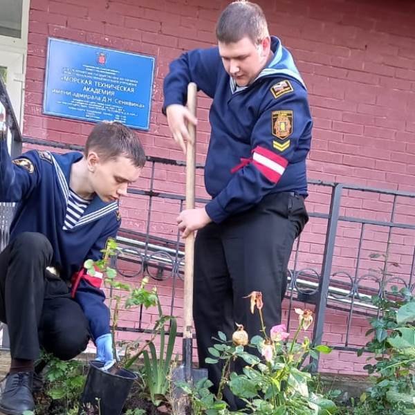 В День оружейника посадили розы В День оружейника посадили розы