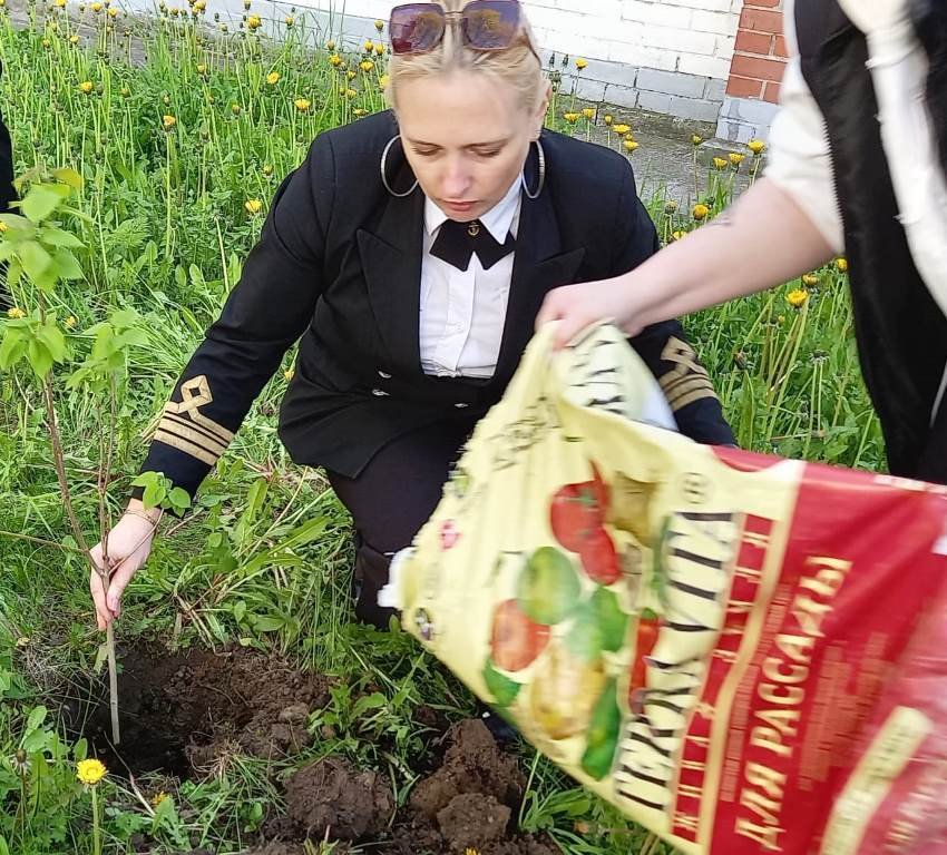 «Сирень Победы»