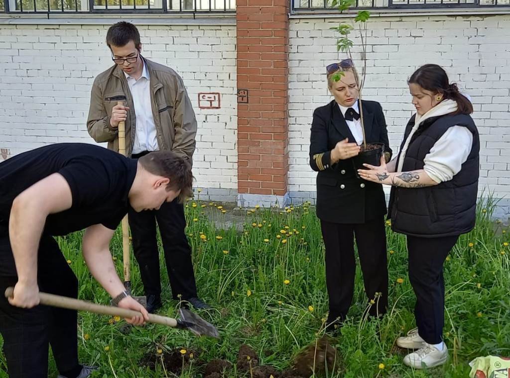 «Сирень Победы»