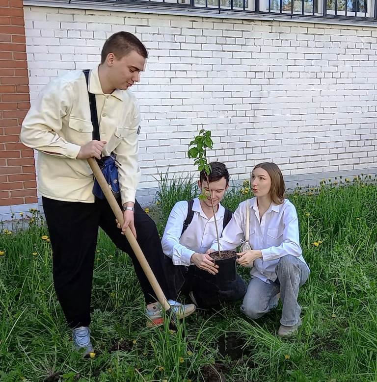 «Сирень Победы»