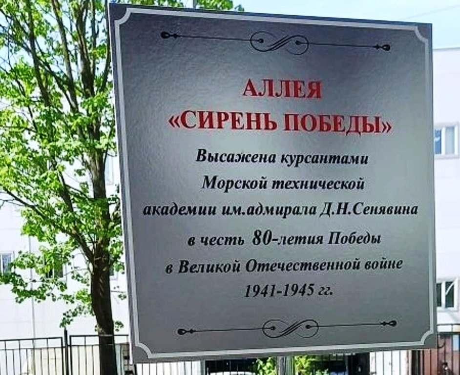 Сирень победы