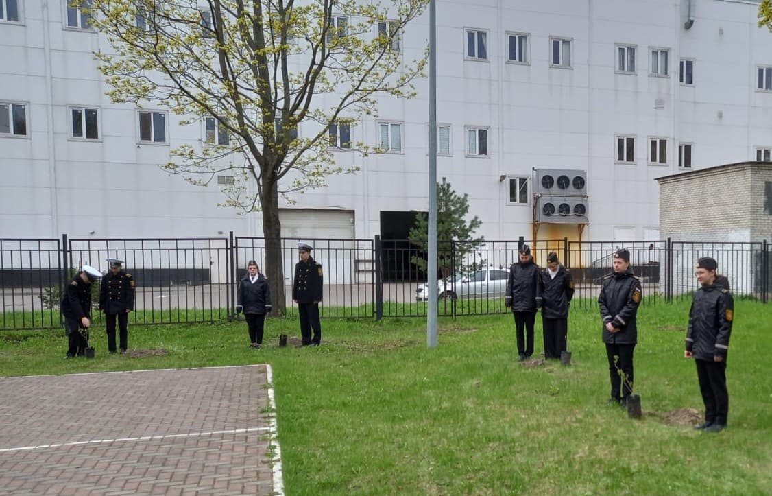 Сирень Победы Сирень Победы