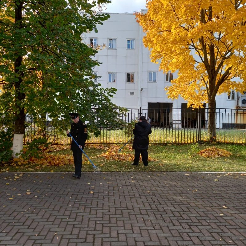 Общегородской городской субботник в СПб МТА