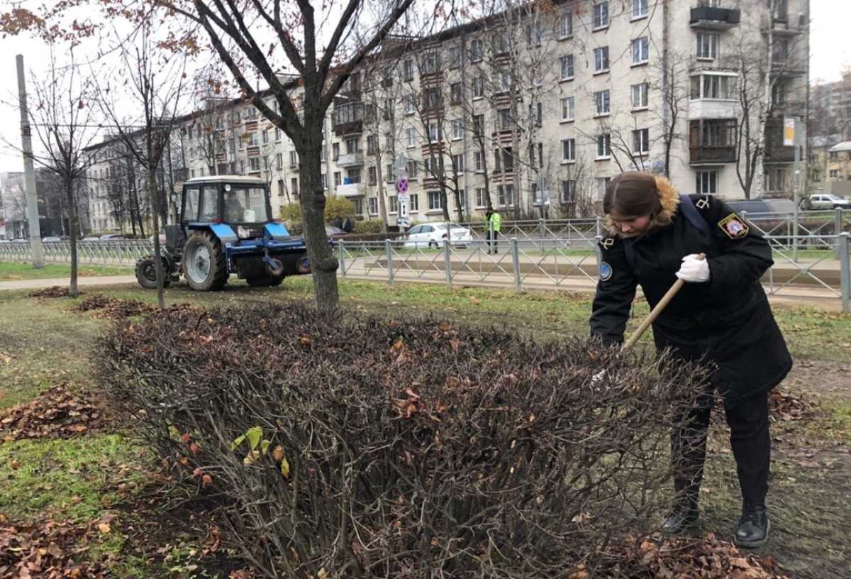Волонтеры в деле Волонтеры в деле