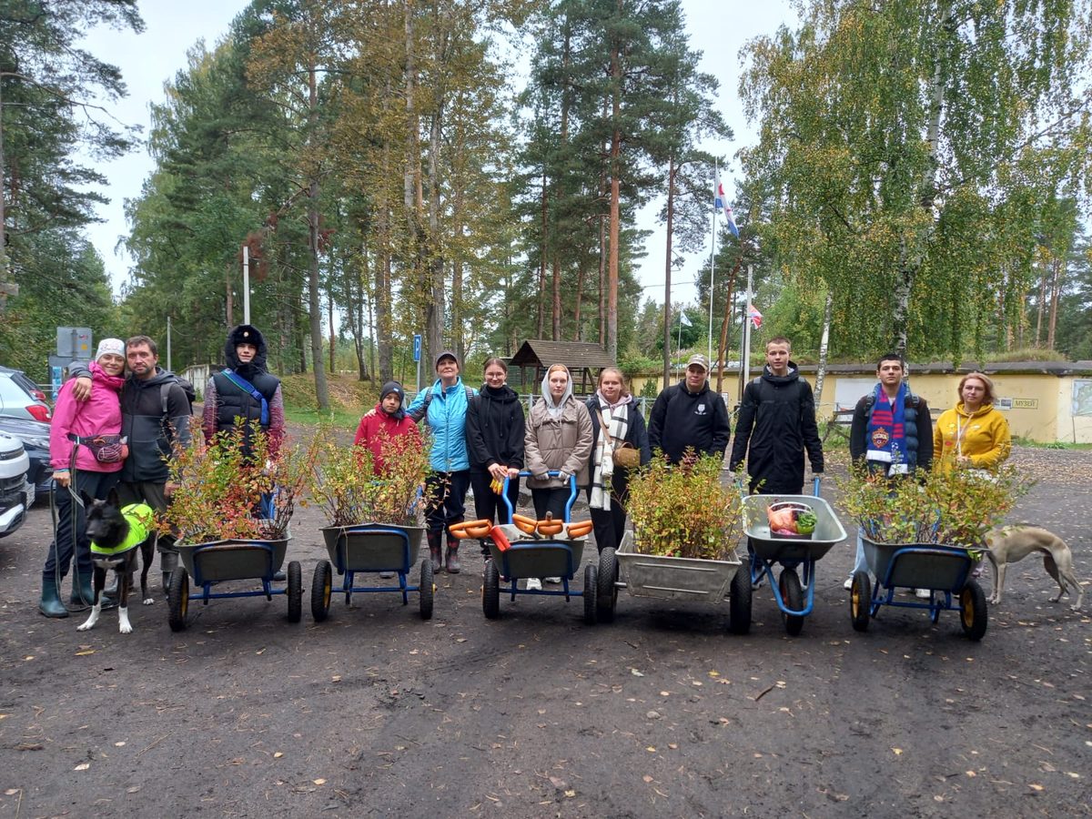 Волонтеры на Красной Горке Волонтеры на Красной Горке