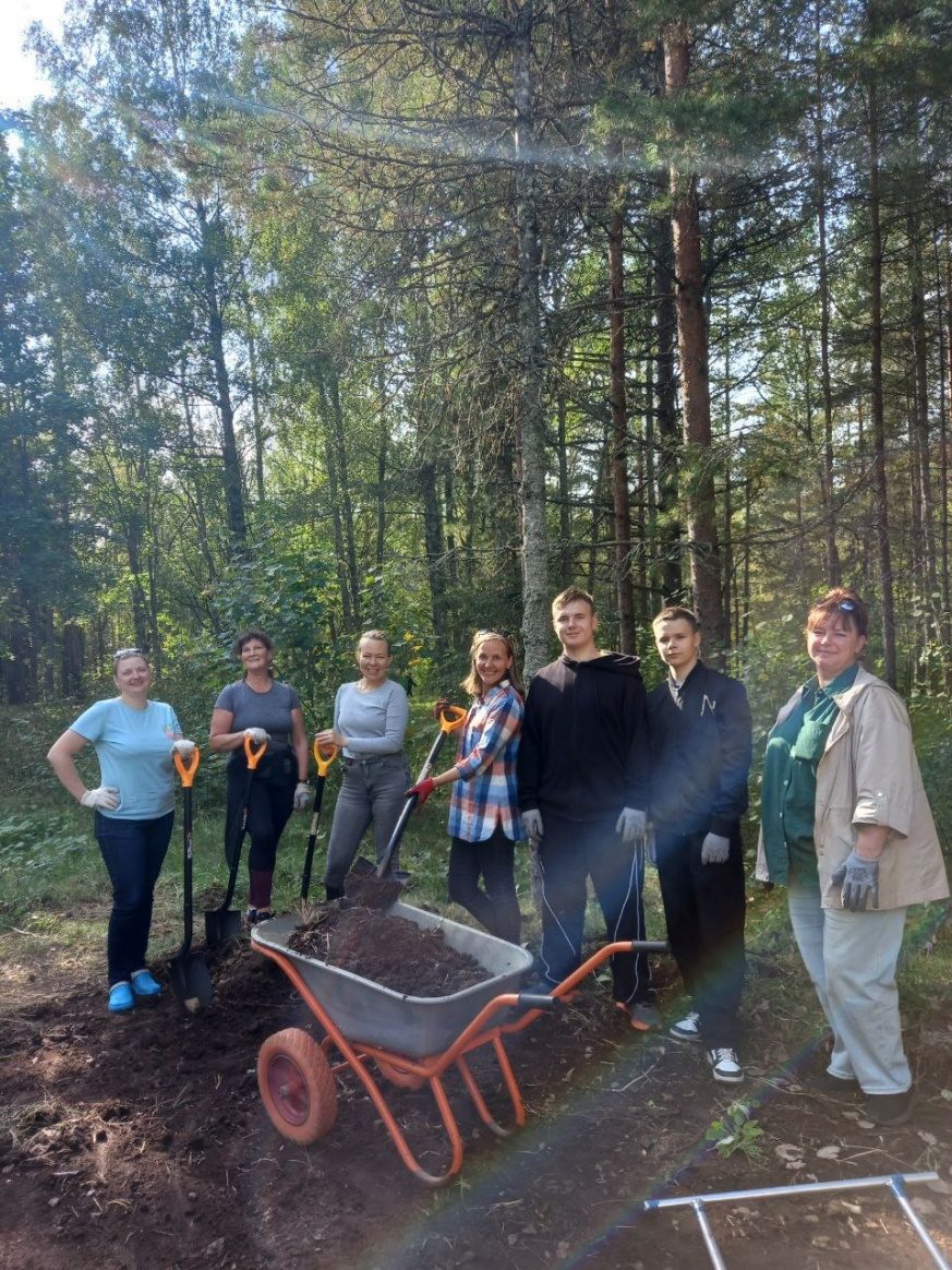 Высадили кизильник на Форте Красная горка Высадили кизильник на Форте Красная горка