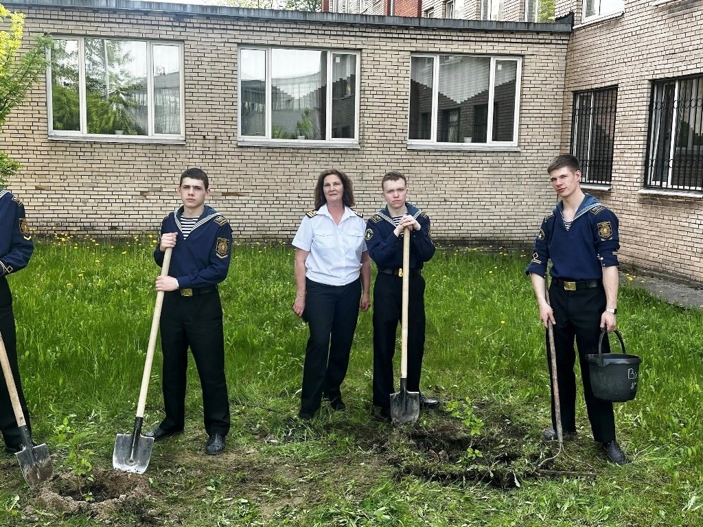 Сирень победы