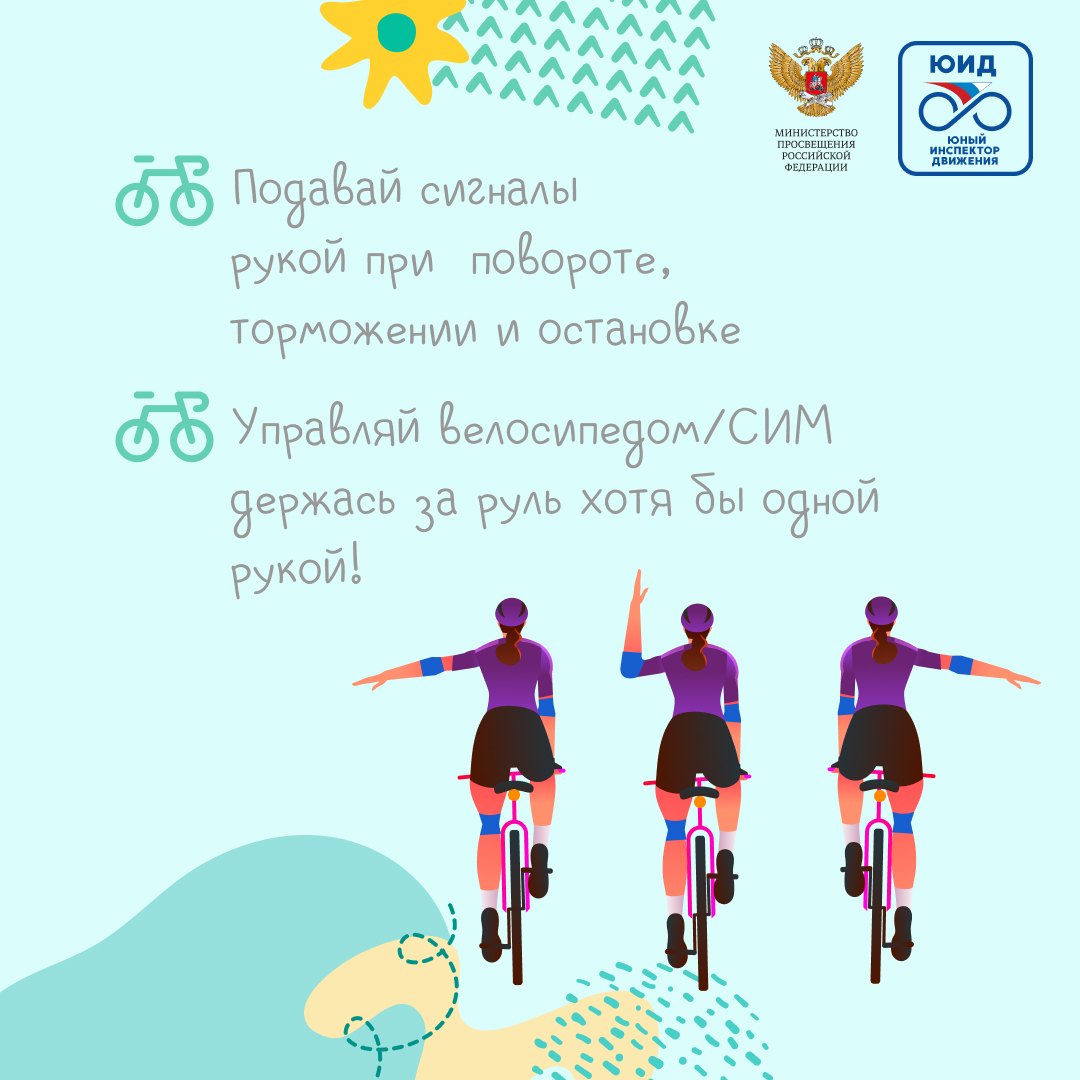 Дорожная безопасность