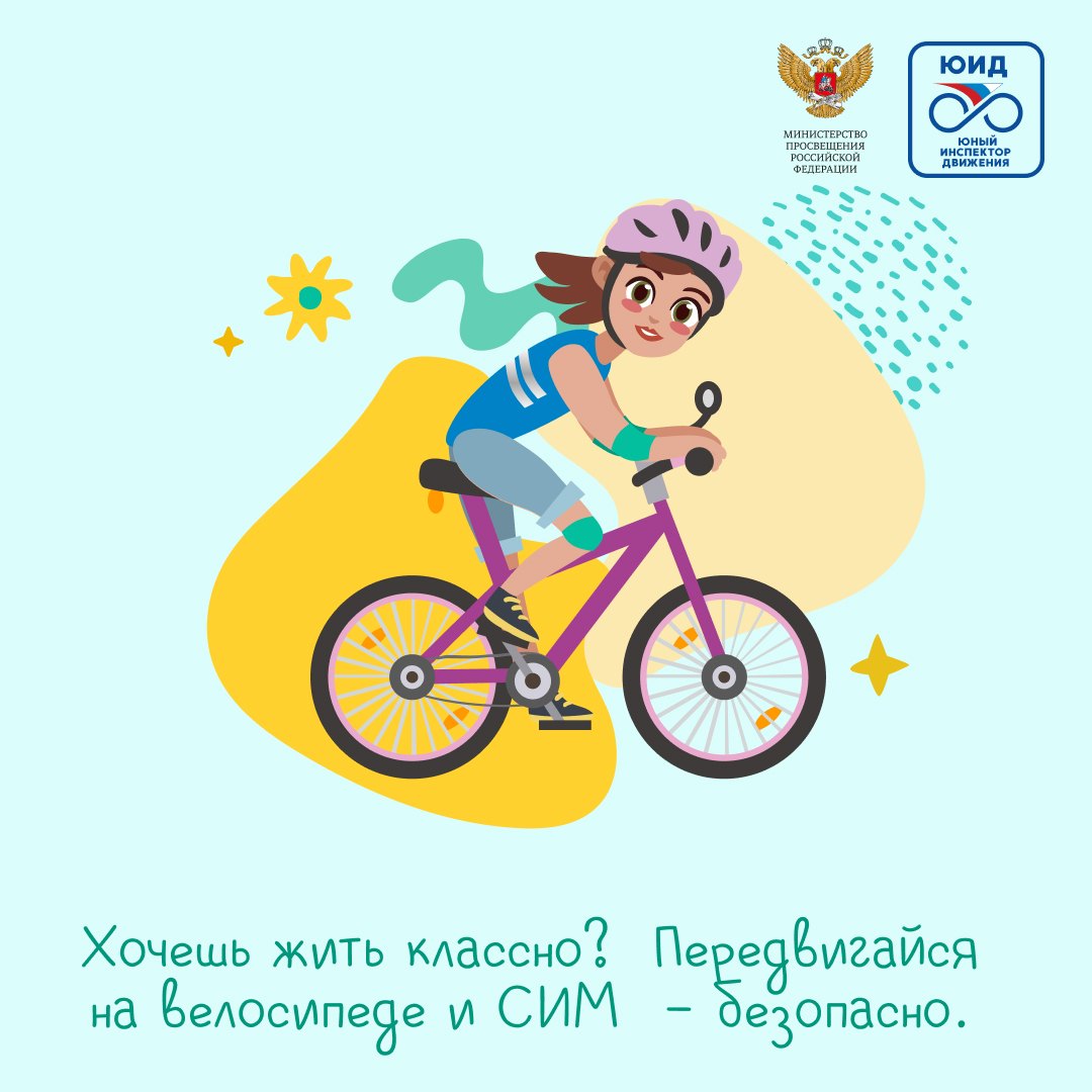 Дорожная безопасность
