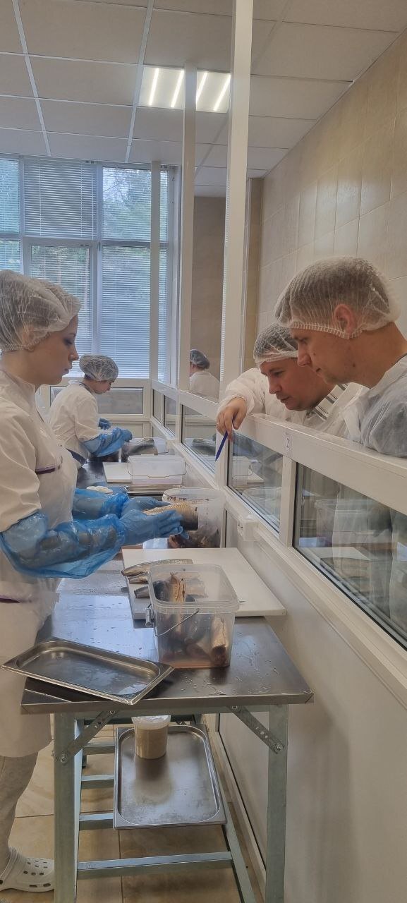 Демонстрационный экзамен
